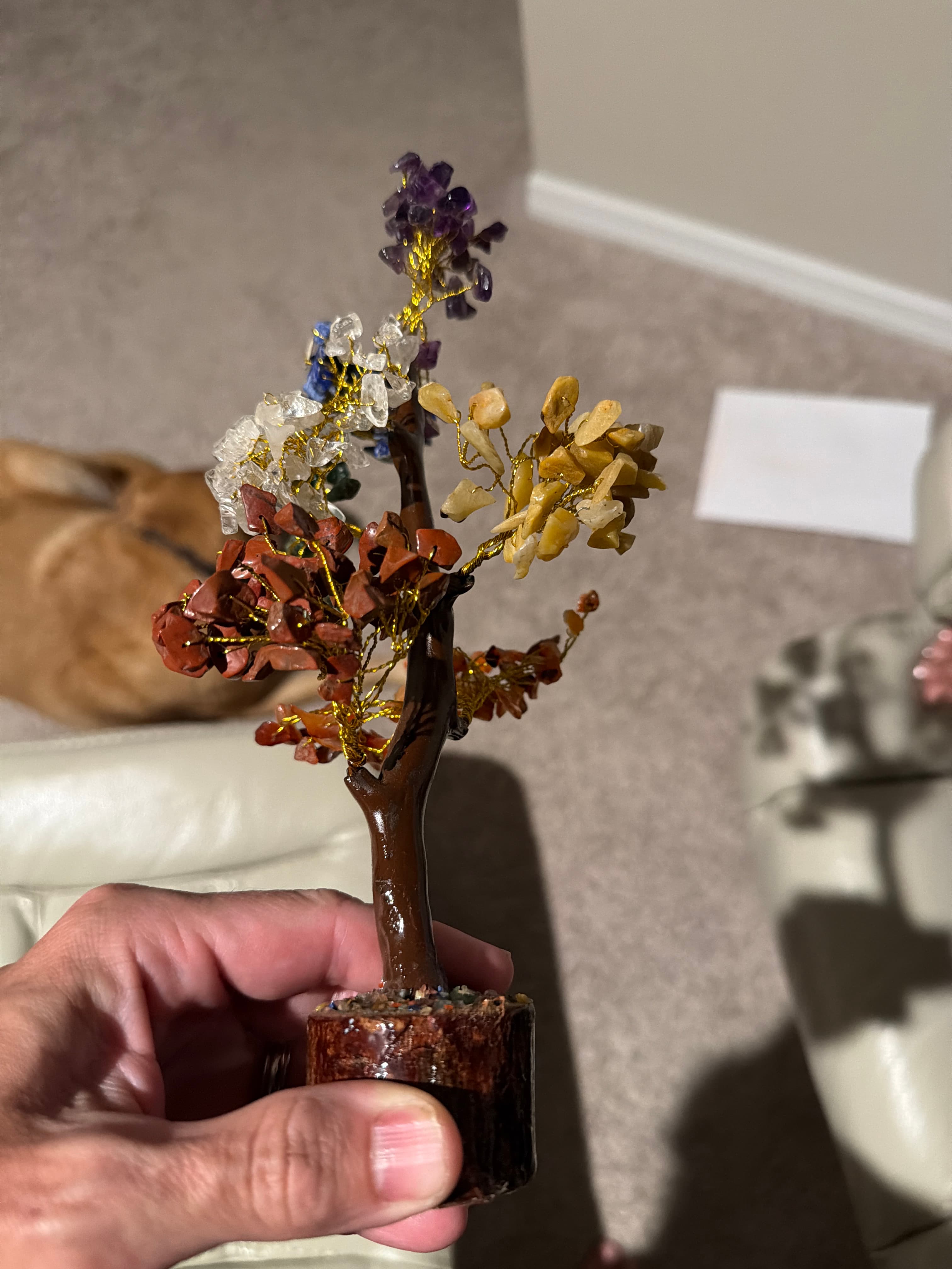 Before - Original product photo